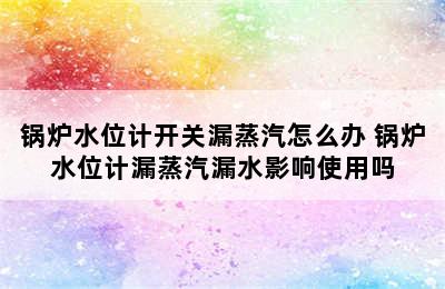 锅炉水位计开关漏蒸汽怎么办 锅炉水位计漏蒸汽漏水影响使用吗